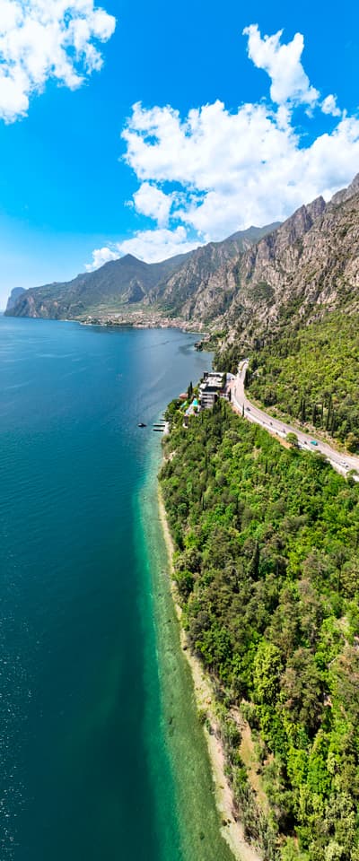 Limone vertical foto
